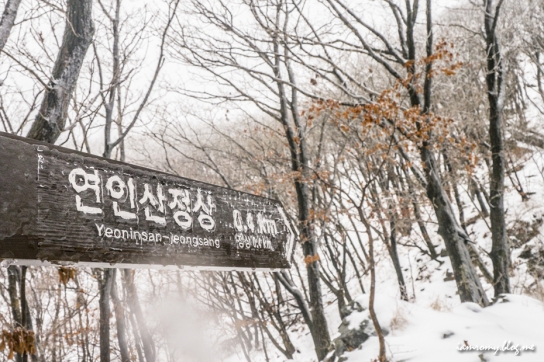 가평소방서, 연인산 등산 조난자 2명 구조...신속한 대응으로 무사히 귀가
