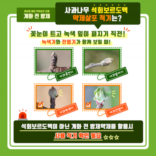 연천군, 과수화상병 예방 위한 개화기 방제 추진