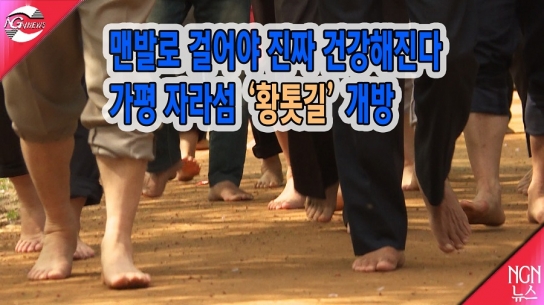 맨발로 걸어야 진짜 건강해진다. 가평 자라섬 ‘황톳길’ 개방