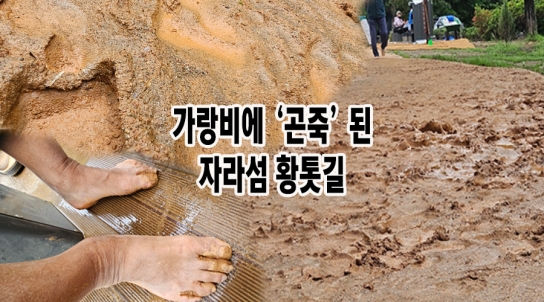 가랑비에 ‘곤죽’ 된 자라섬 황톳길