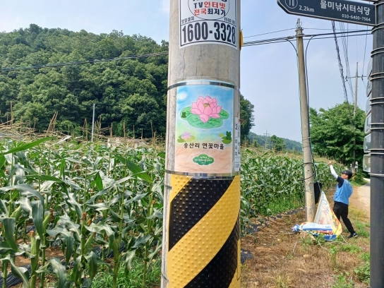 골칫거리 불법 전단지 자리에 예쁜 그림이…