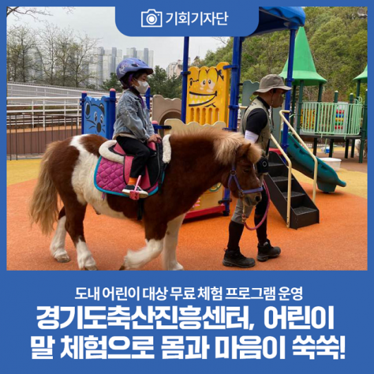 경기도 어린이 말 체험 신청. 8월 26일 시작