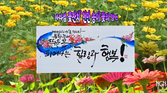 '자라섬 꽃잔치' 천만 송이 꽃의 향연