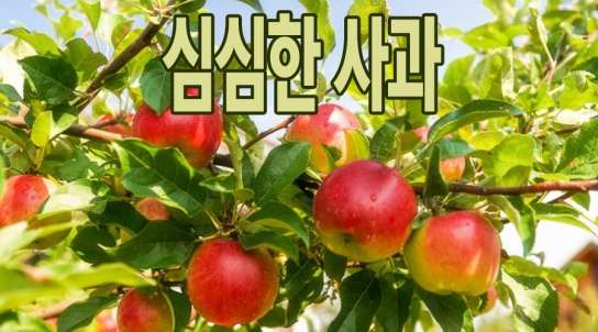 가평군 새마을회원에 사과드립니다
