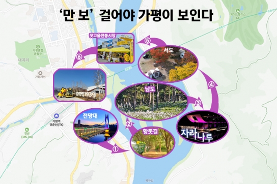 주말여행 여기 어때!?…자라섬 꽃, 지금이 ‘딱!’