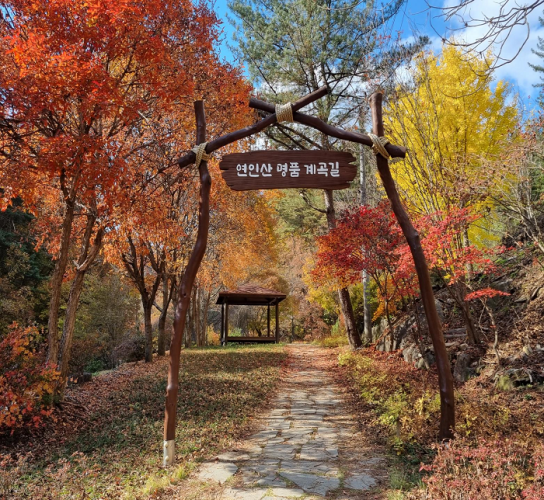 산림청이 뽑은 오색단풍 ‘가평 연인산 명품 계곡길’ 10월 말 절정 예상