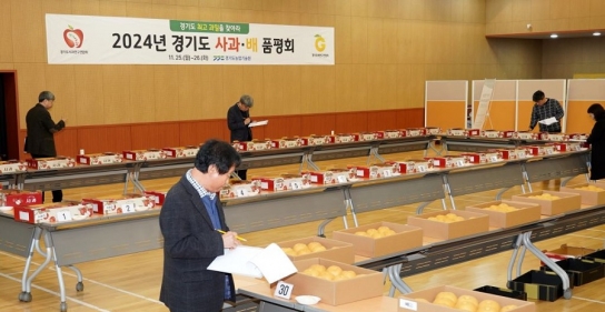 경기도 최고 품질의 사과, 배를 찾아라!