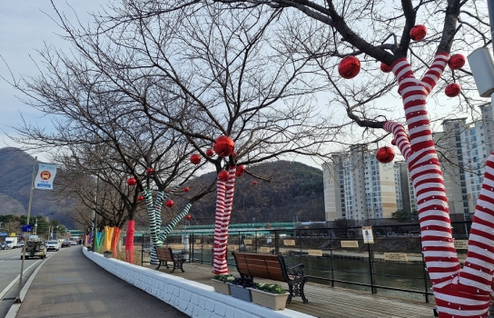 가평 청평면, 알록달록 무지개 나무로 명품거리 조성