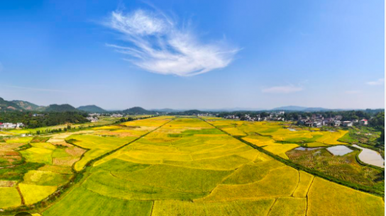 2027년까지 귀농인 농지 취득세 50% 경감, 오는 2027년까지 3년 연장