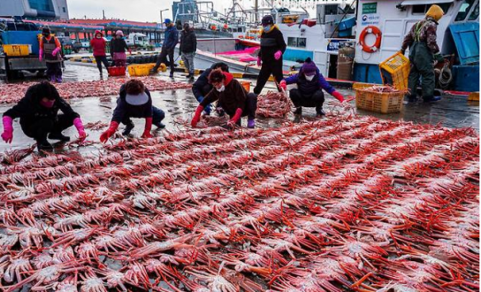 ‘뒤숭숭한 데...' 울진 여행 어때!  온천 즐기고 대게 맛에 반하다