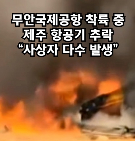 전남 무안공항 175명 태운 여객기 추락