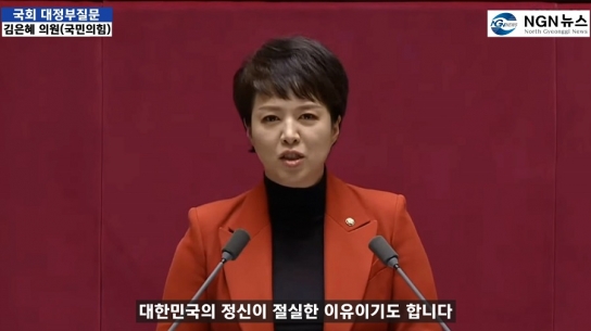 김은혜 의원 국회 대정부질문 "이재명 한미동맹에 리스크"