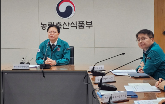 경기 양주 아프리카돼지열병 발생