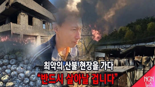 안동.. 최악의 산불 현장을 가다 "반드시 살아날 겁니다"