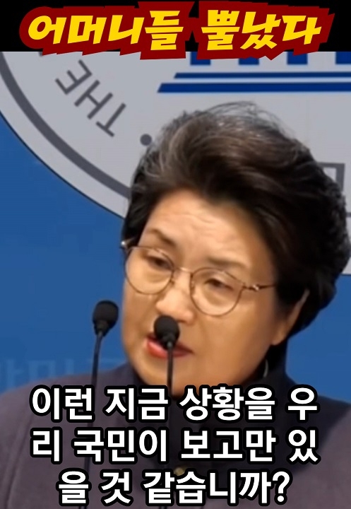 어머니들 뿔났다/한국무궁화어머니회 탄핵각하 시국선언