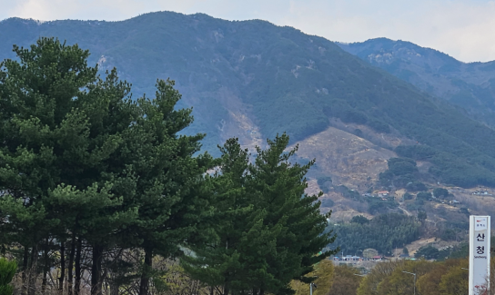 NGN 특별기획 10부작, '산불 재난과 산림 정책의 충돌 의성 산불이 던진 질문, 숲에서 답을 찾다'