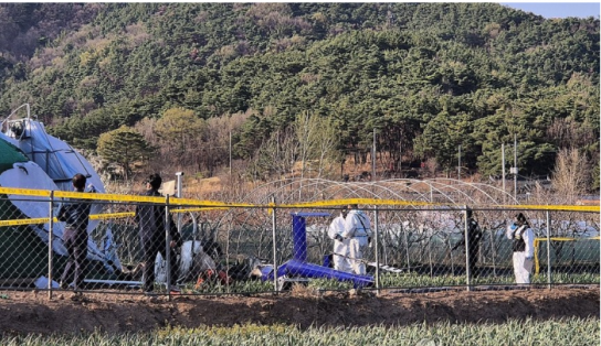 [속보 종합]대구북구 산불 진화중 추락 조종사 사망