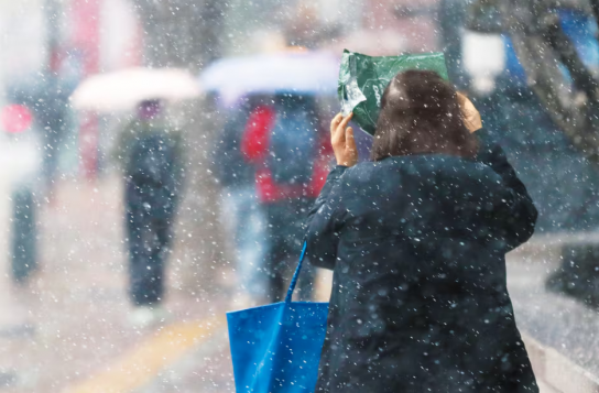 雨울한 휴일...11주동안 8번 주말만 되면 비,닷새는 맑다가도 유독 주말에만 ‘오청이우(五晴二雨)’