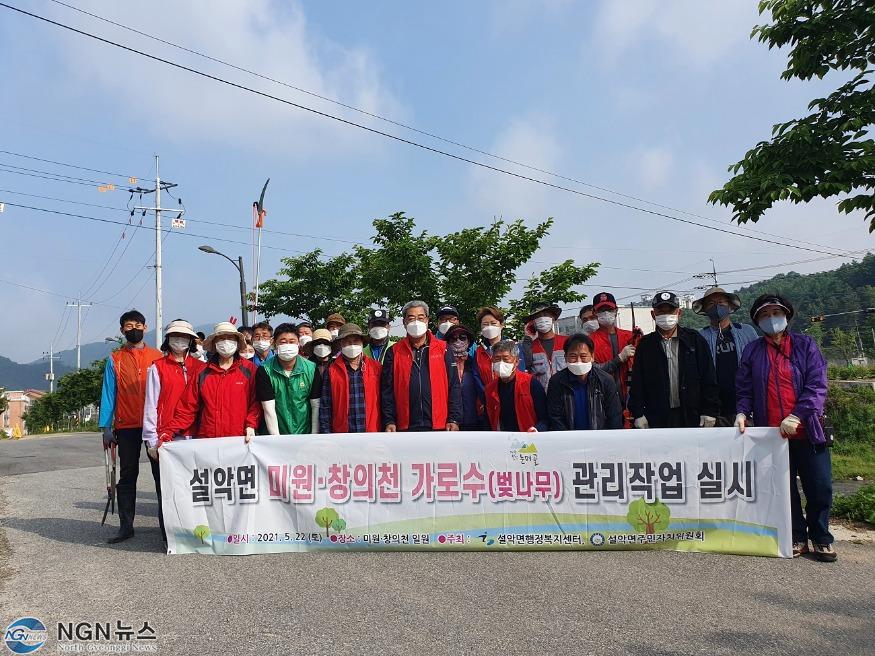 가로수관리작업.jpg