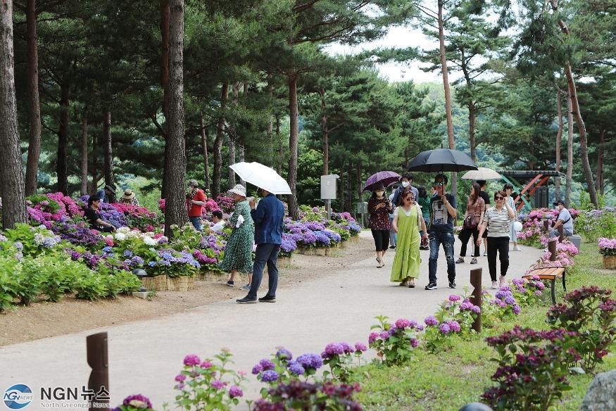 보도 1 남도꽃정원 (3).jpg