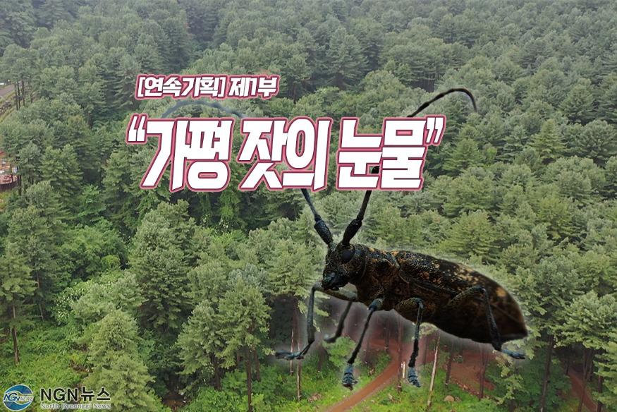 숲의약속드론2020 (8).MP4_snapshot_00.06_[2022.07.05_10.58.02].jpg