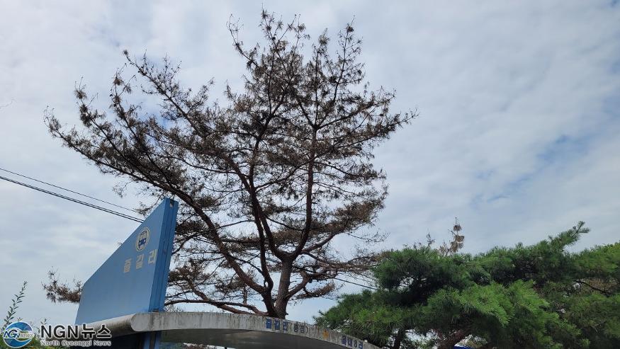 KakaoTalk_20220713_132456957_04.jpg