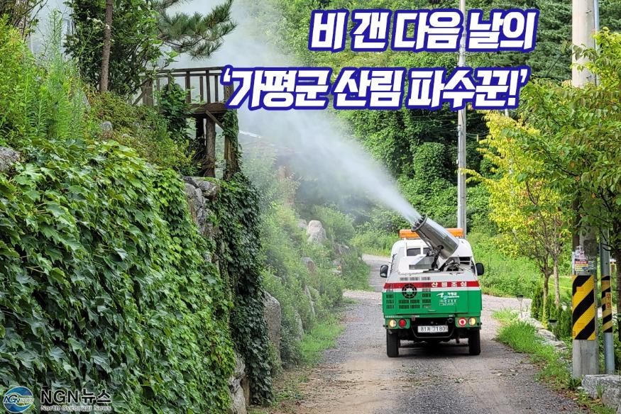 섬네일.jpg
