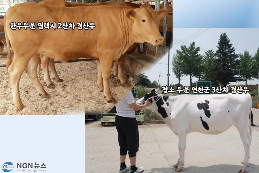 한우.jpg