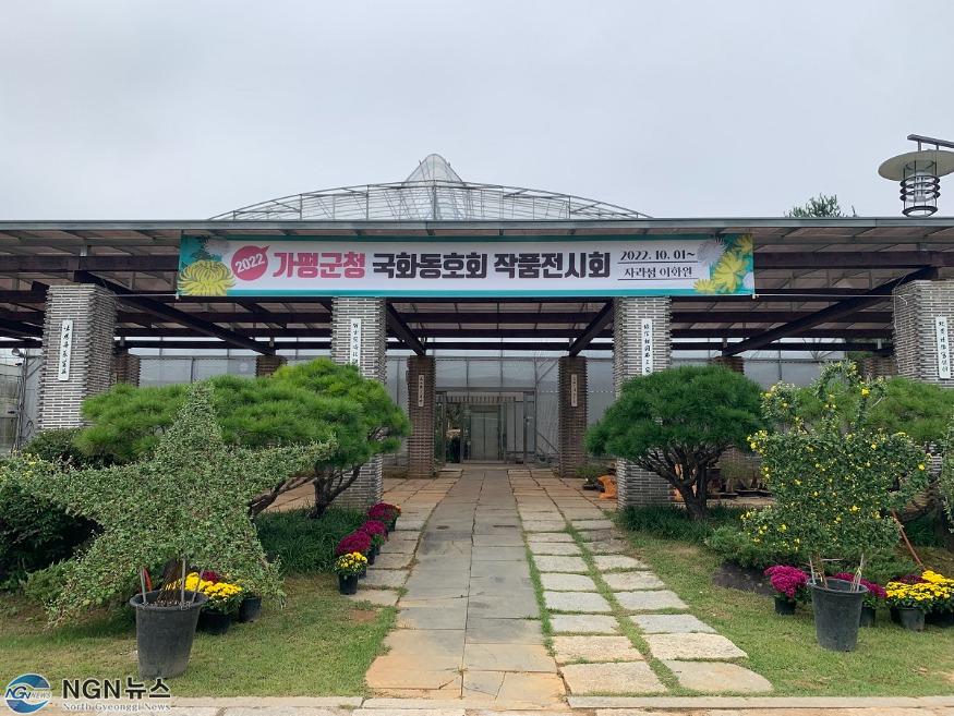 보도1 가평군, 국화 작품 전시회 개최(1).jpeg