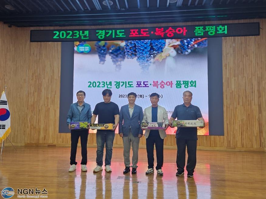 7-1. 포천시 경기도 포도 품평회 ‘캠벨얼리’ 부문 대상 수상.jpg