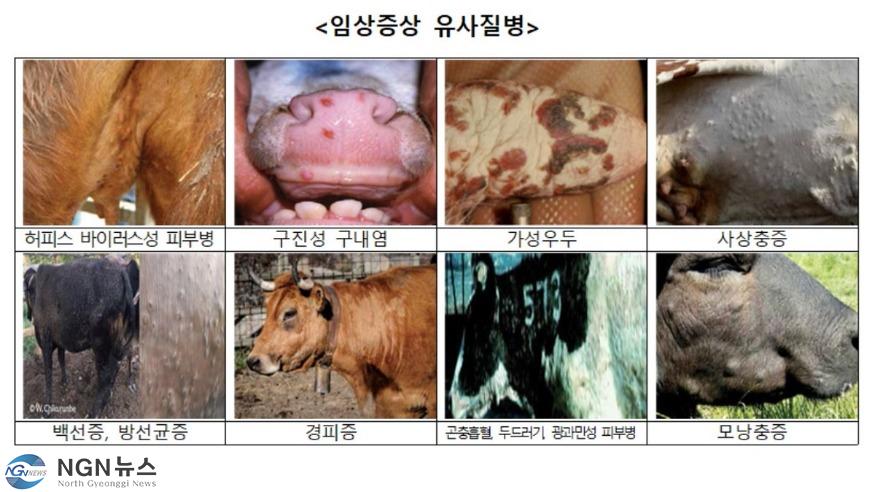 (1020)[종민관]남양주시, 비법정도로 담당자 및 긴급보수 단가업체 대상 바로처리 간담회 및 워크숍 개최(사진2).jpg