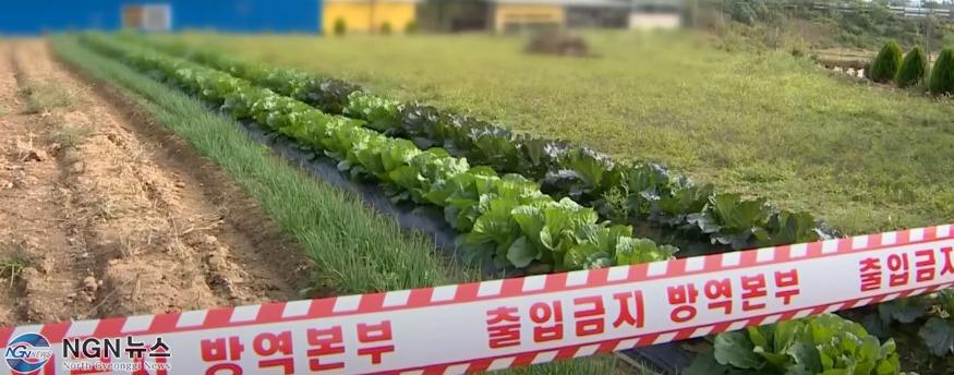 출입금지.JPG