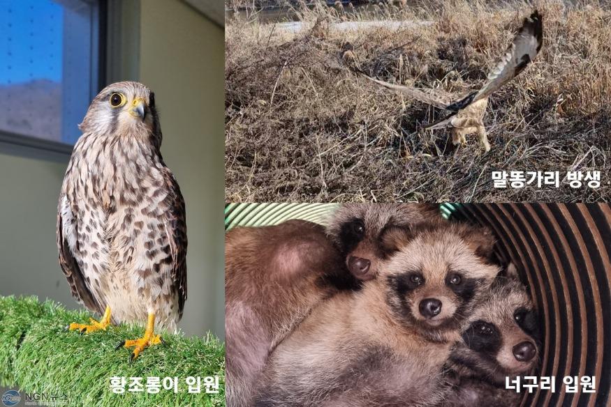 제목 없음-1.jpg