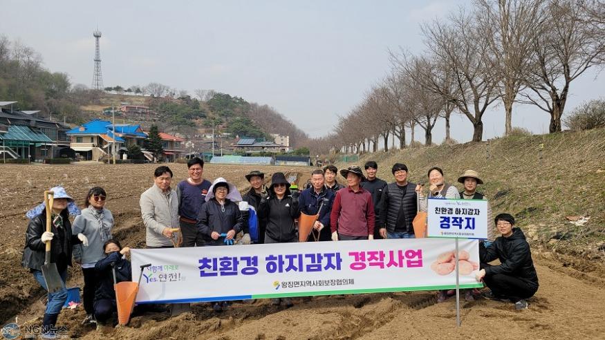 왕징면지역사회보장협의체 ‘친환경 감자경작사업’.jpg