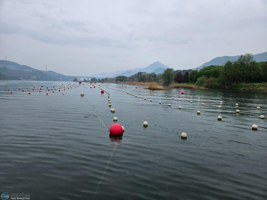 (0425)[농축산지원과]남양주시, 내수면 수산자원 증식을 위한 인공산란장 조성(인공산란장 사진).JPG