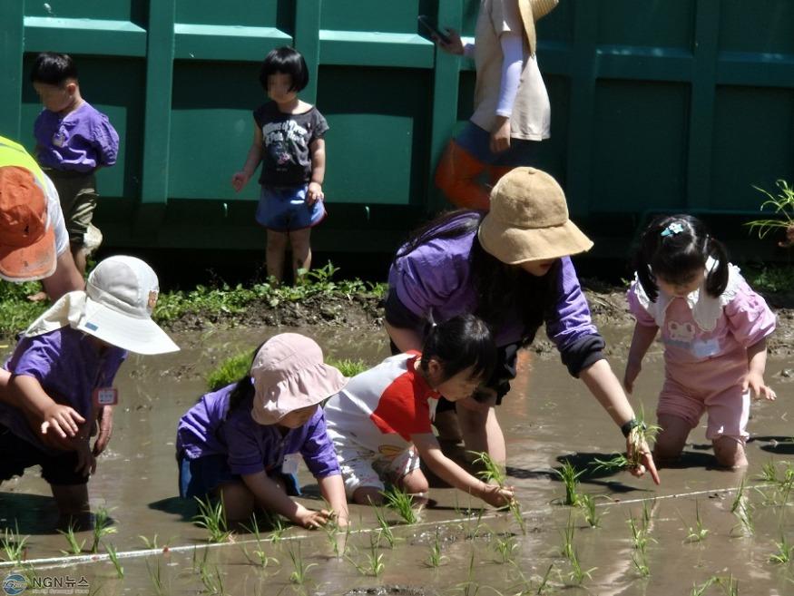 0521 구리시, 벼농사 체험장 손 모내기 체험교육 성황리 마쳐(1).jpg