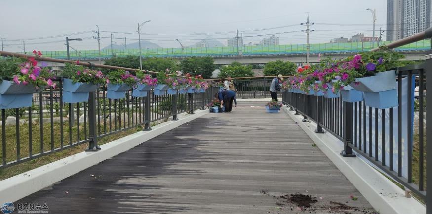 0527 구리시 갈매동, 주민숙원사업 ‘매화교 난간 화분 설치’(2).jpg