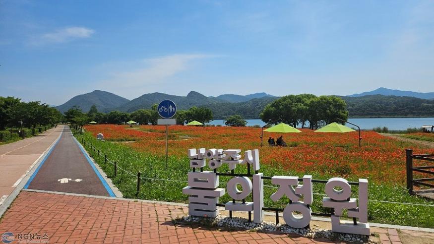 (0613)[하천공원관리과]“꽃양귀비가 만개한 남양주시 물의정원으로 놀러 오세요!”(사진1).jpg