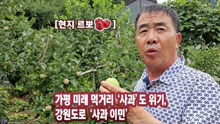 57390059-사과-과수원에서-과일을-수확-플랫-벡터-일러스트-레이-션-work는-사과-과수원에서-상자에-사과를-수집합니다-애플-과수원-플랫.jpg