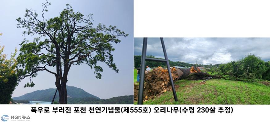 제목 없음-1.jpg