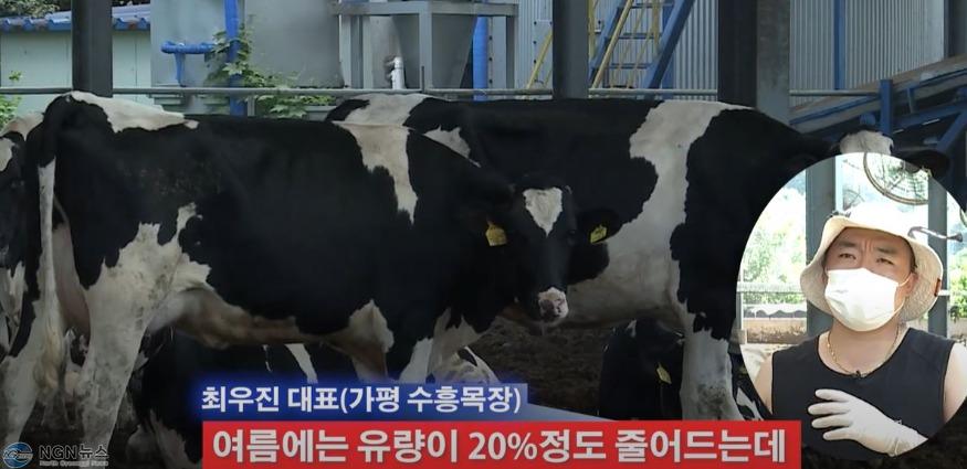 우유량 줄어.JPG