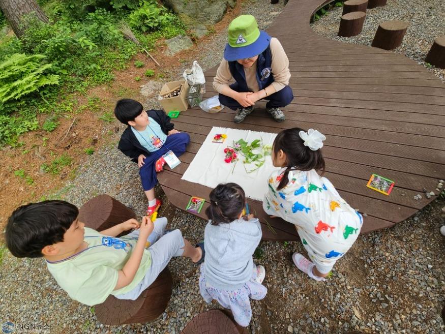 (나)가평군, “잣나무숲에서 가족과 환경감수성 높이세요”1.jpg