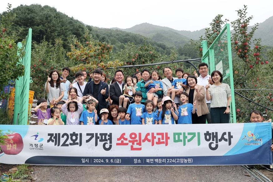 (가)가평군, ‘제2회 가평소원사과 따기 행사’ 개최1.jpg