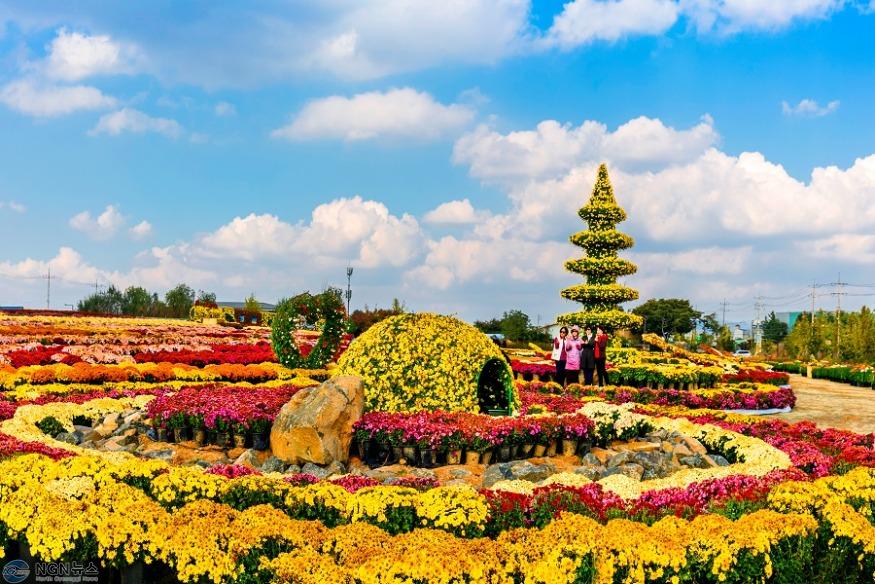 연천군, “가을 축제 즐기러 연천으로 오세요”(국화축제).jpg