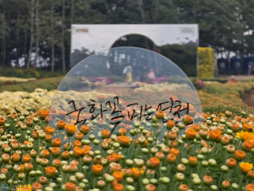 연천군, 오는 27일까지 전곡리유적서 국화축제 개최.jpg