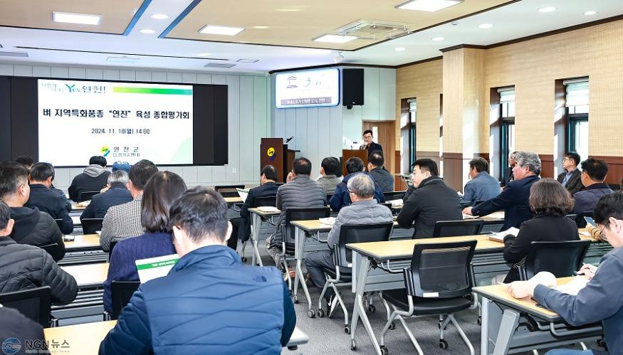 연천군, 벼 지역특화품종 연진 육성 종합평가회 개최.jpg
