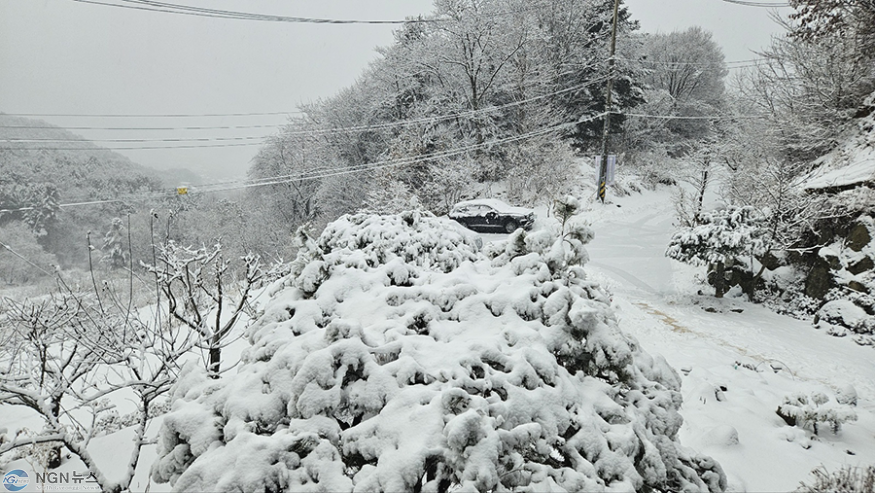 KakaoTalk_20250127_152040973.png