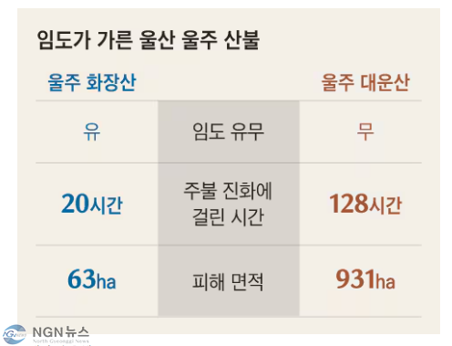임도2.PNG