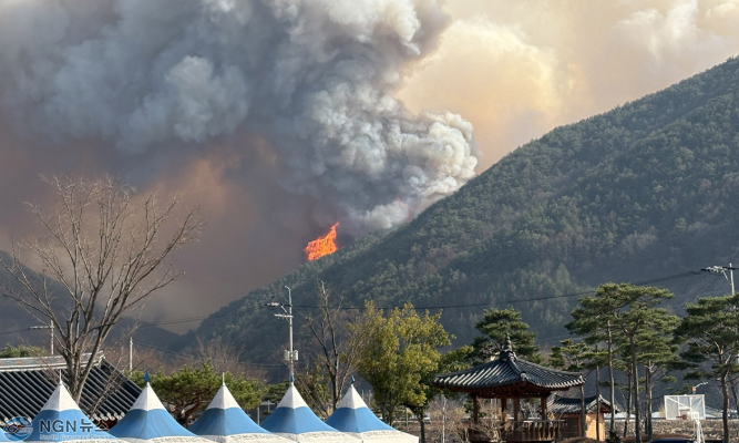 산불4.PNG