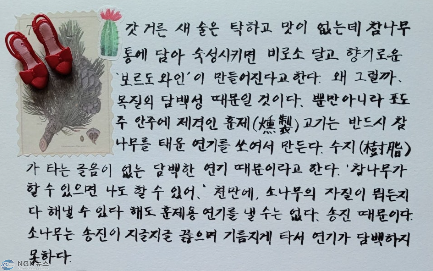 혼효림.PNG